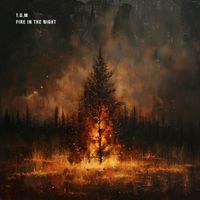 T.O.M - Fire in the Night