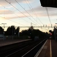 Three Fields - Electrified Lines