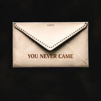Ansh - You Never Came