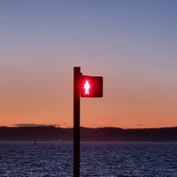 Maximilien Mathevon - Soundless Echo