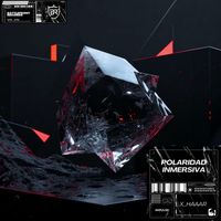 X_HAAAR - Polaridad Inmersiva