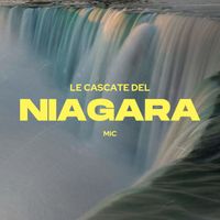 Mic - Le Cascate del Niagara