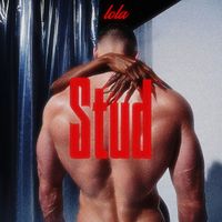 Lola - STUD