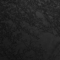 carkeys - Shoebox (Explicit)