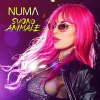 NUMA - Suono Animale