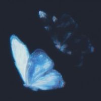 Moayad Aljabal - Reflection of a dream