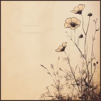 Maxime Verdoni - Le havre de paix