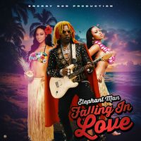 Elephant Man - Falling In Love (Explicit)