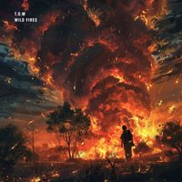 T.O.M - Wild Fires