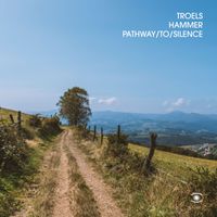 Troels Hammer - Pathway To Silence