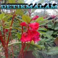 Condro - Detikmalam