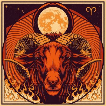 Dirtwire - Aries