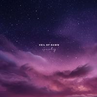 spaceboy - veil of dawn