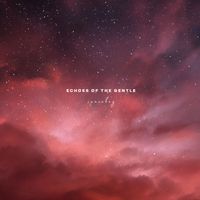 spaceboy - echoes of the gentle