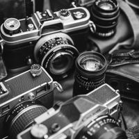 Conejo - Different lenses (Explicit)