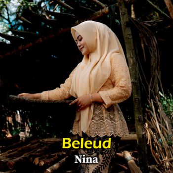 NINA - Beleud