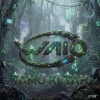 WAIO - Tamu Ki Tah
