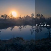 Richome - Forest Moon