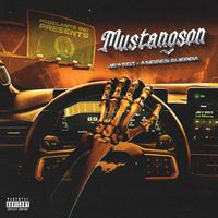 Jey EDT & Andres Guerra - Mustangson