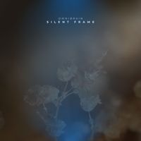 OmniBrain - Silent Frame