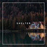 Gia - Shelter