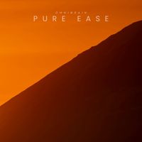 OmniBrain - Pure Ease