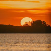 RAYNER TARIN CAMPS - Torre Del Mar