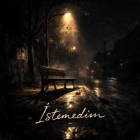 Alp Gücük - İstemedim