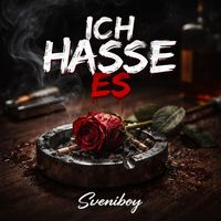 Sveniboy - Ich Hasse Es