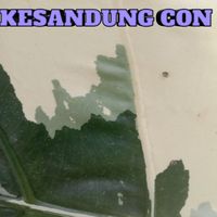 Condro - Kesandung con