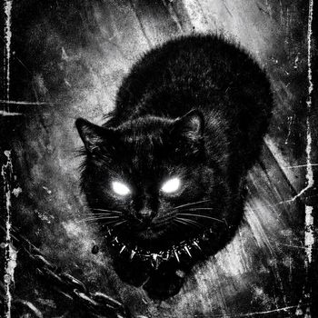 chanty - Rockstar Gang