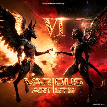 Various Artists - Various Artists Vol. 6