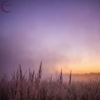 Gloaming Harmonies - Lavender and Gold Reverie