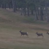 left - tried for you