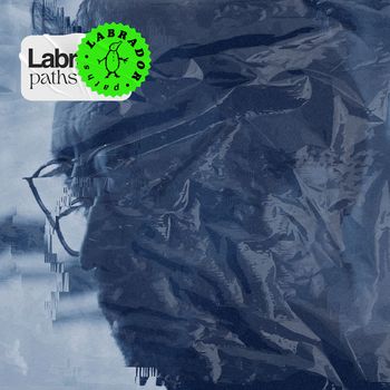 Labrador - Paths