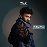 Voelin - DANI?