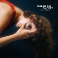 Aino Salto - Feeding The Fantasy