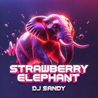 Dj Sandy - Strawberry Elephant