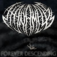 The Nameless - Forever Descending