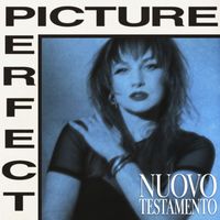 Nuovo Testamento - Picture Perfect