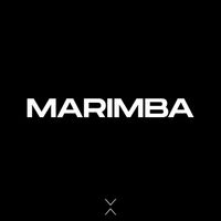 Erick T & Tony Calrya - Marimba
