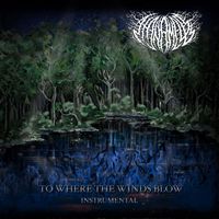 The Nameless - To Where The Winds Blow (Instrumental)