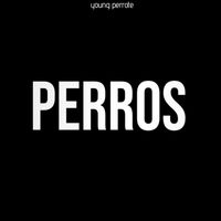 young perrote - perros