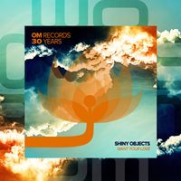 Shiny Objects - Want Your Love