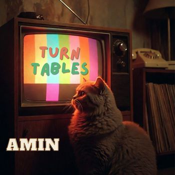 amin - Turn Tables