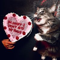 instant crush - I'M SORRY I DIDN'T BITE MY TONGUE (DELUXE [Explicit])