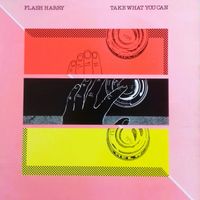 Flash Harry - Take What You Can
