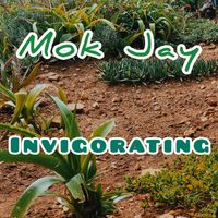 Mok Jay - Invigorating