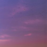 nilsson - in a moment