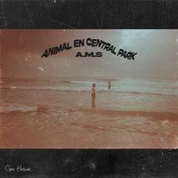 A.M.S - Animal en Central Park